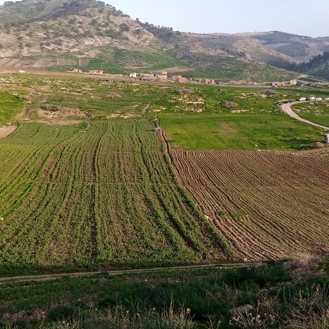 بيوت كركمة التراثية...إرث حضاري بحاجة للترميم  صور