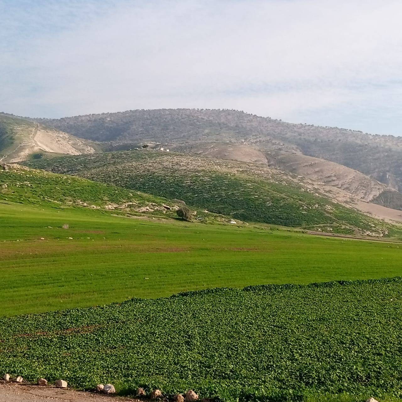 بيوت كركمة التراثية...إرث حضاري بحاجة للترميم  صور