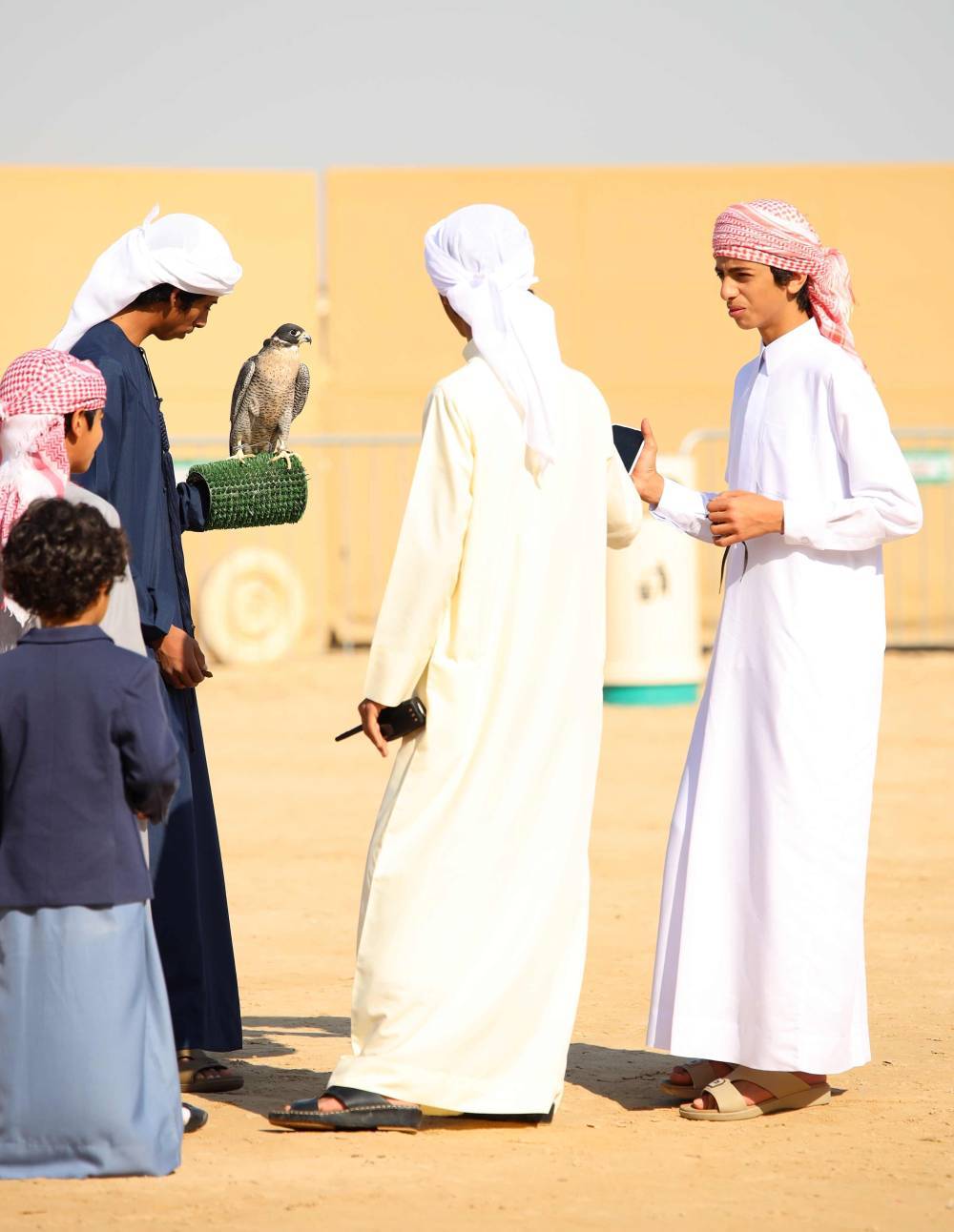 .    الحر وشاهين يقدمان أقوى المستويات في بطولة فزاع للصيد بالصقور                          