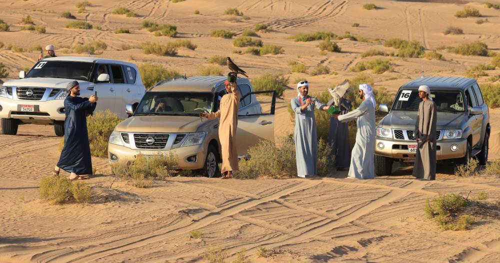 اختتام فعاليات مخيم الصقارة الإماراتي-الياباني الأوّل