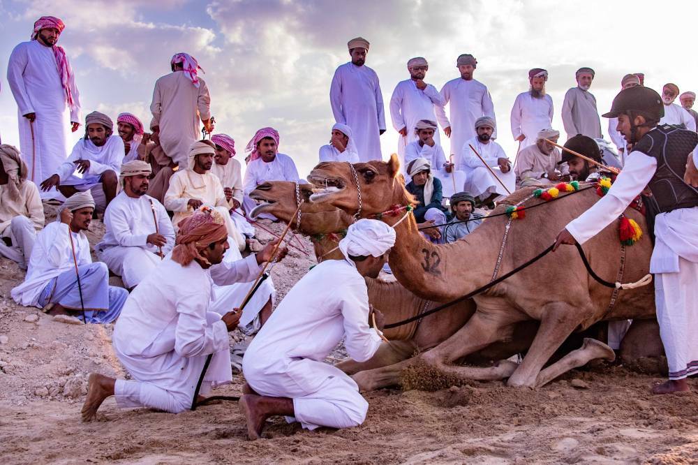 للمرة الأولى على مستوى الدولة وبمشاركة خليجية واسعة انطلاق التصفيات التأهيلية لبطولة كاس فزاع للعرضة  