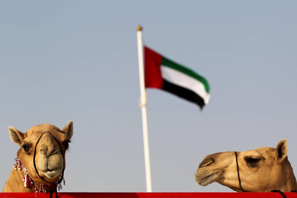 فعاليات ومسابقات المحطة الختامية لـ مهرجان الظفرة تنطلق 20 يناير الجاري