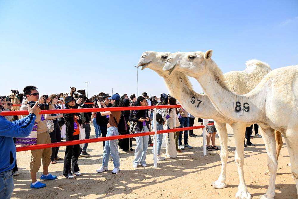فعاليات ومسابقات المحطة الختامية لـ مهرجان الظفرة تنطلق 20 يناير الجاري
