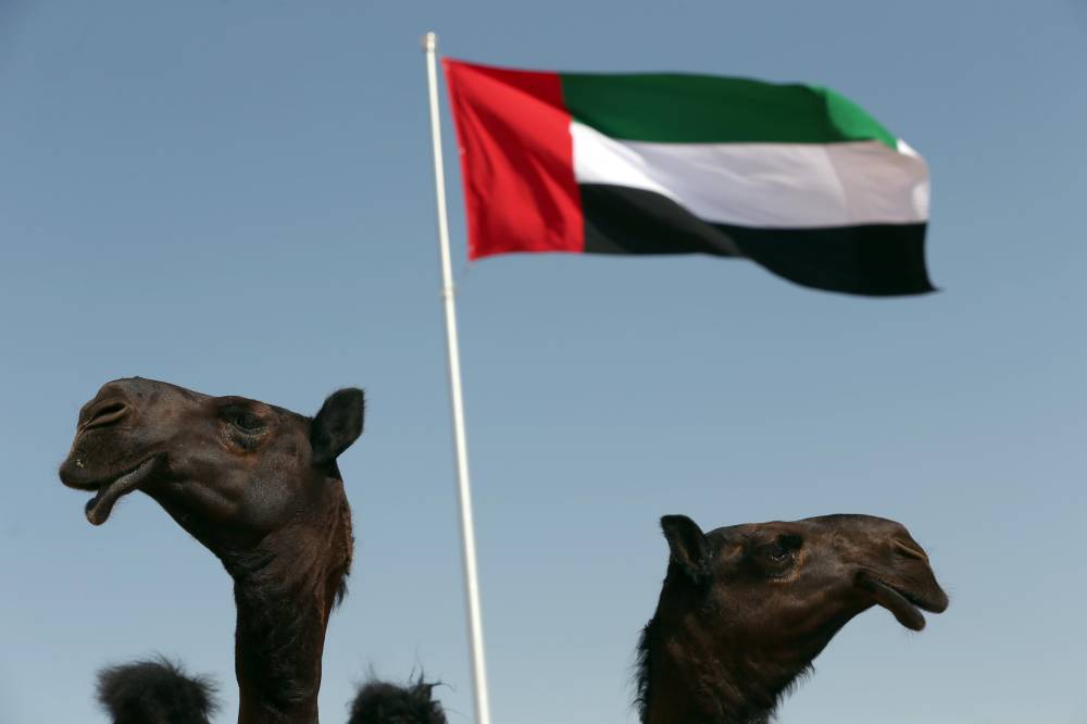 فعاليات ومسابقات المحطة الختامية لـ مهرجان الظفرة تنطلق 20 يناير الجاري