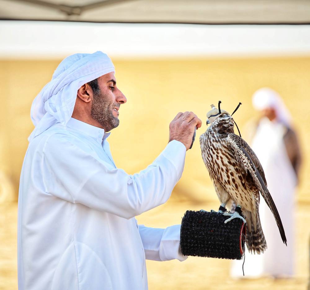 منافسة مفتوحة بين الفرق وأرقام قياسية تسجل في انطلاق الشيوخ لبطولة فزاع للصيد بالصقور  