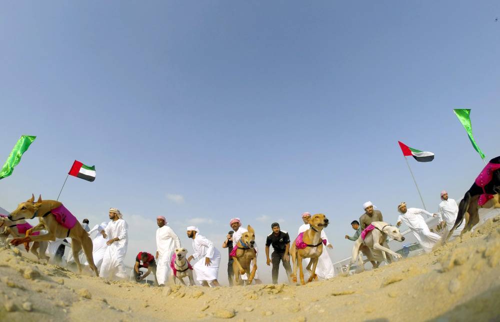 مهرجان الظفرة الختامي يخصص 1441 جائزة للمسابقات التراثية المصاحبة