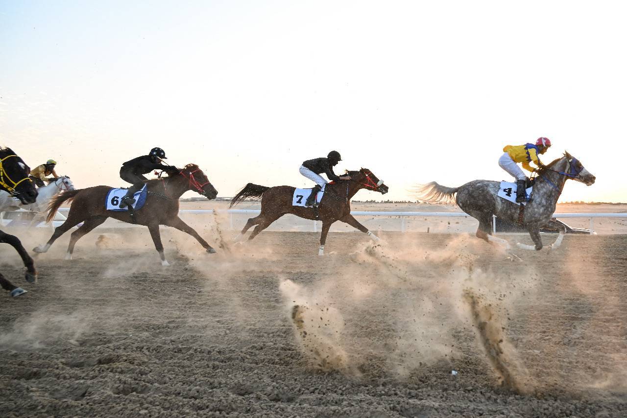 مهرجان الظفرة الختامي يخصص 1441 جائزة للمسابقات التراثية المصاحبة