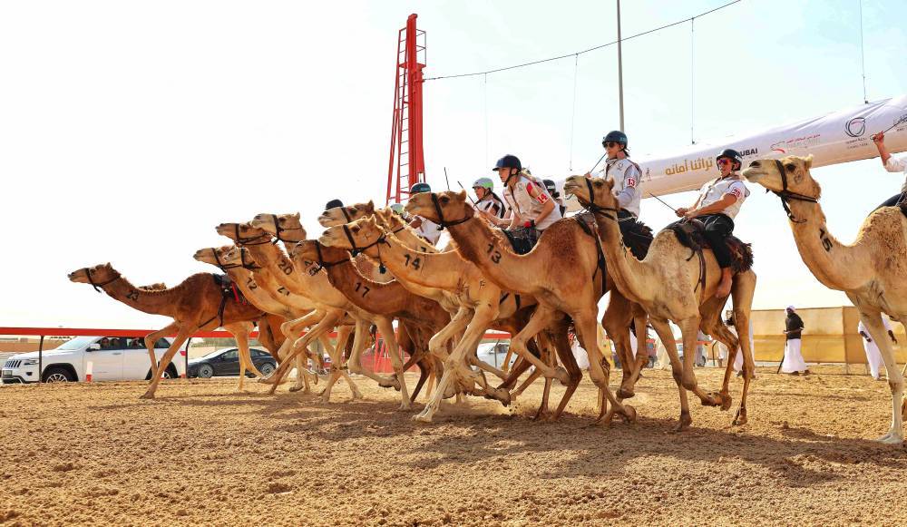 منصور بن محمد يتوّج أبطال ماراثون رحلة الهجن لغير المواطنين، عبد الله حمدان بن دلموك: هدفُنا ارتباط مستدام مع الهجن