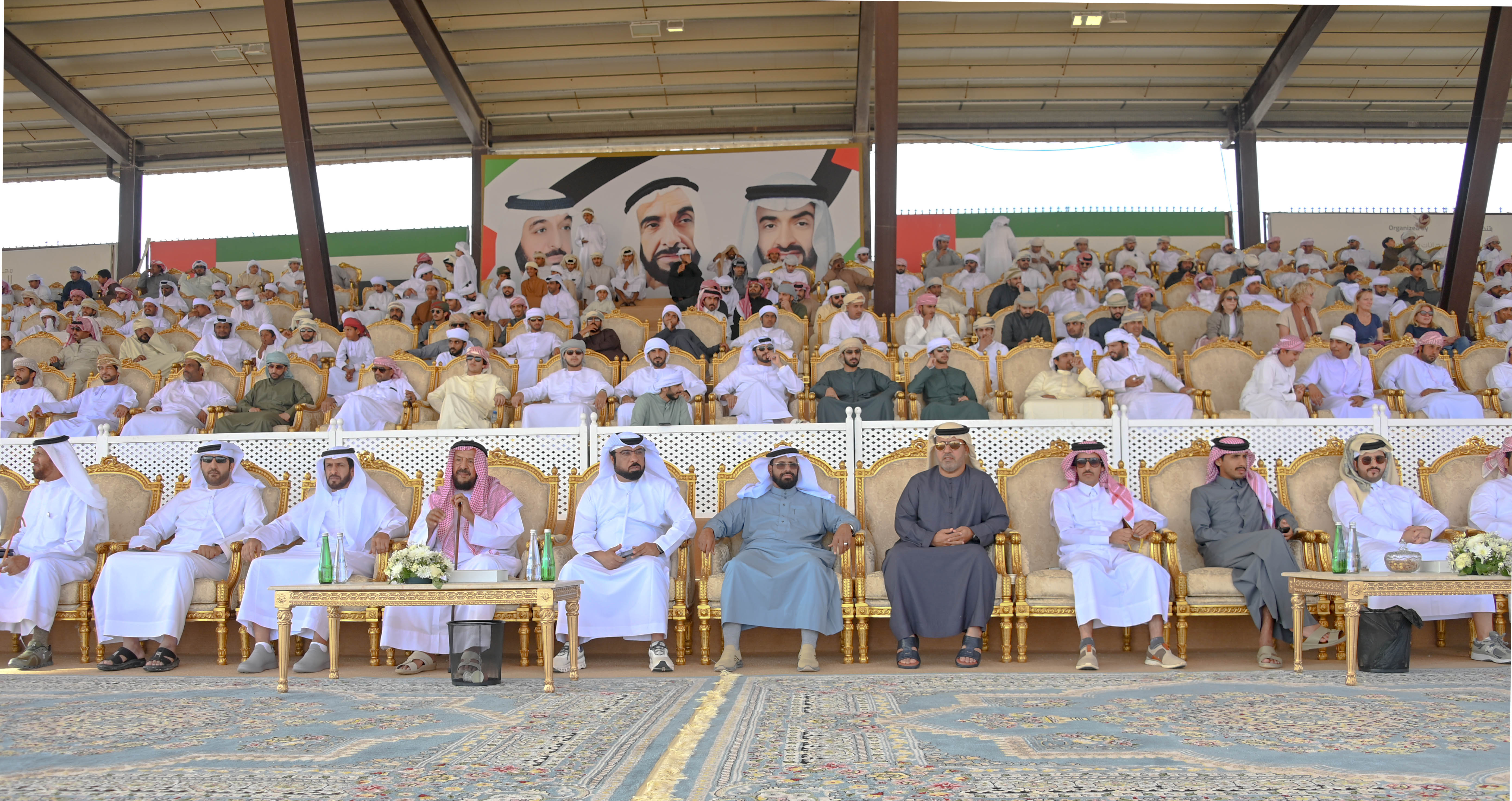 مهرجان الظفرة 17 .. مُلاك إبل الخليج يتنافسون في أشواط اللقايا تلاد