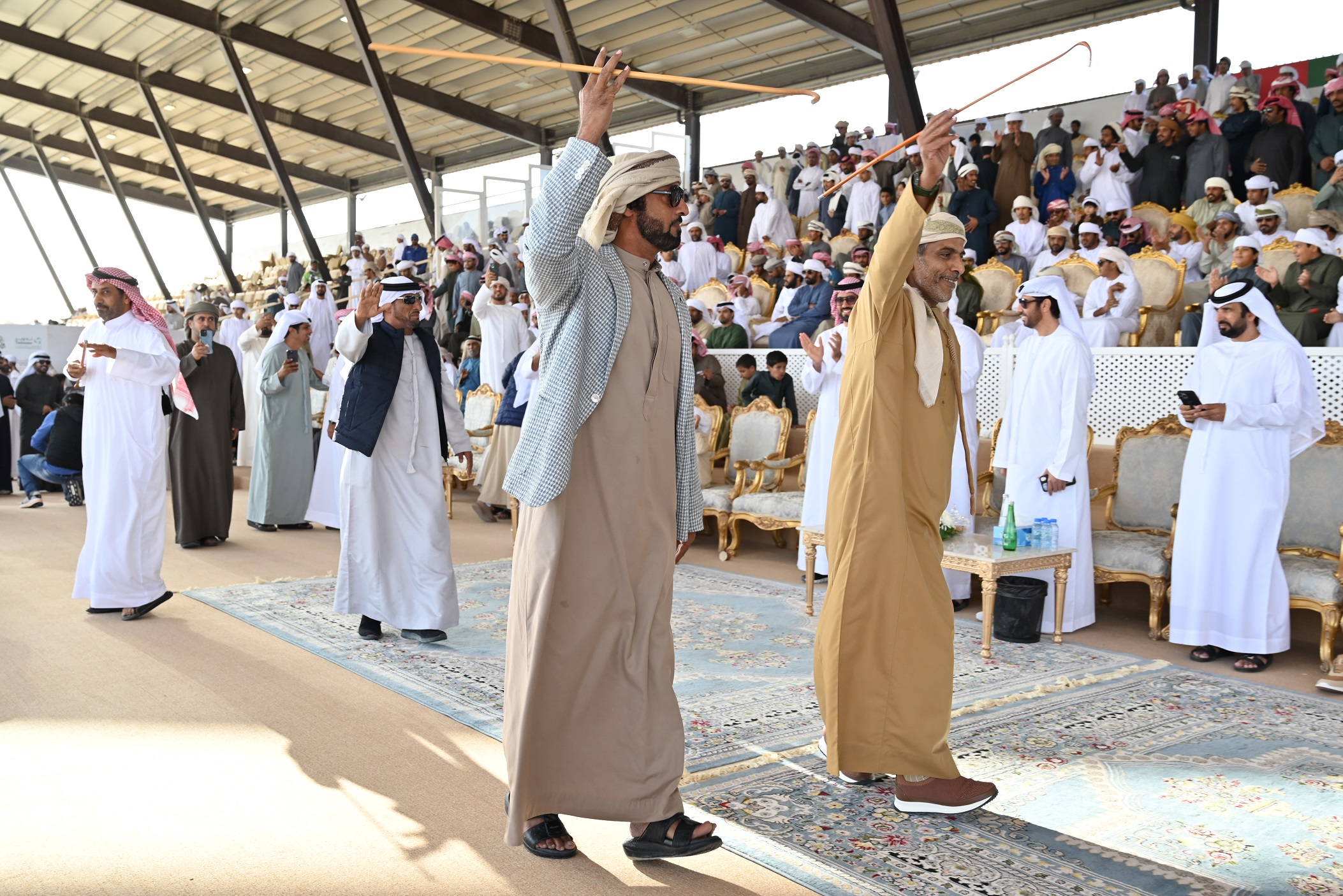 مهرجان الظفرة 17 .. منافسة وتحدي في أشواط مزاينة المفاريد التلاد