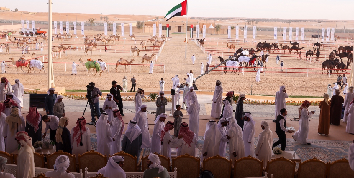 مهرجان الظفرة يواصل فعالياته ومسابقاته في مدينة زايد بمنطقة الظفرة