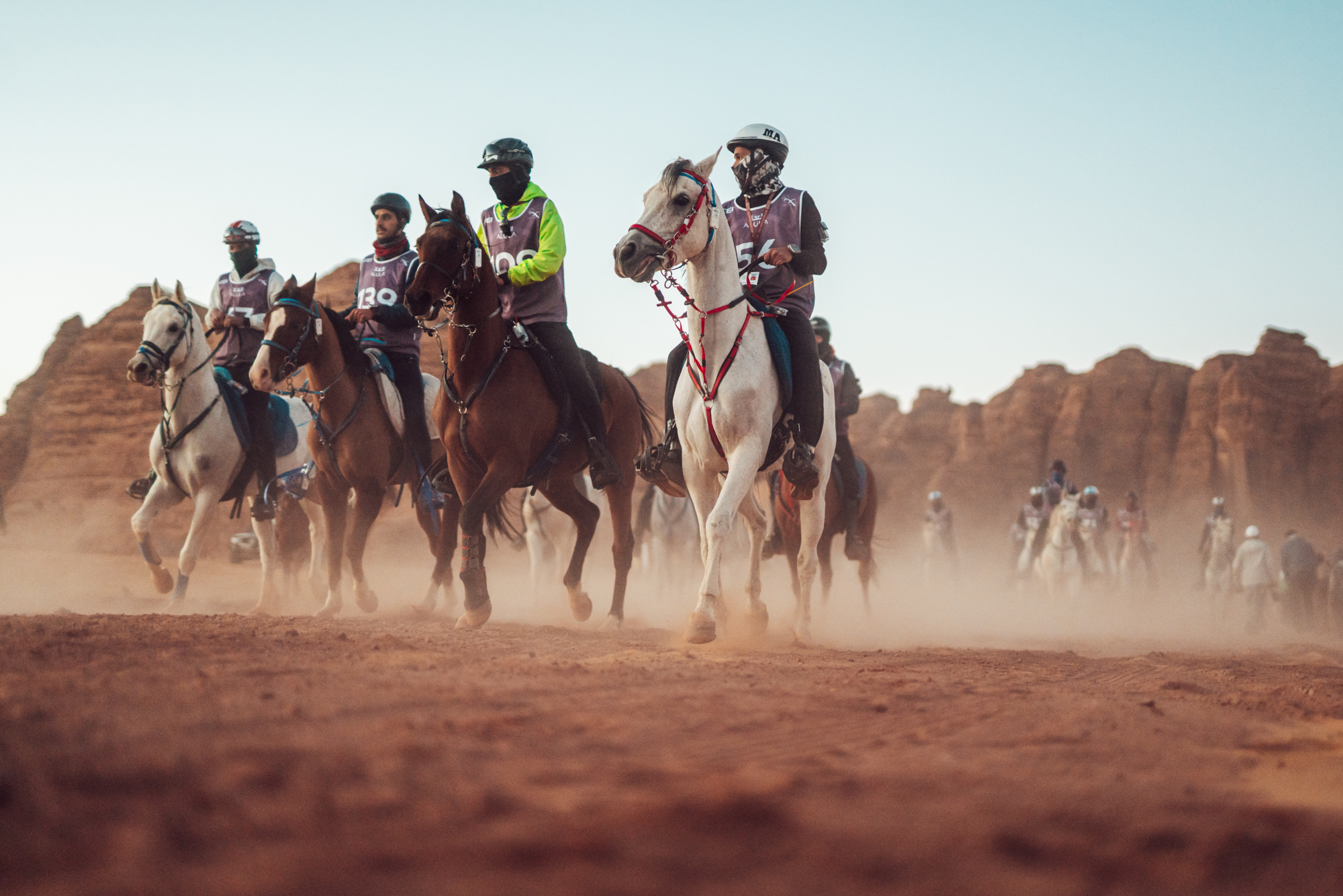 كأس خادم الحرمين الشريفين الدولية للقدرة والتحمل يستقبل 200 من الفرسان والفارسات من 51 دولة لأول مرة