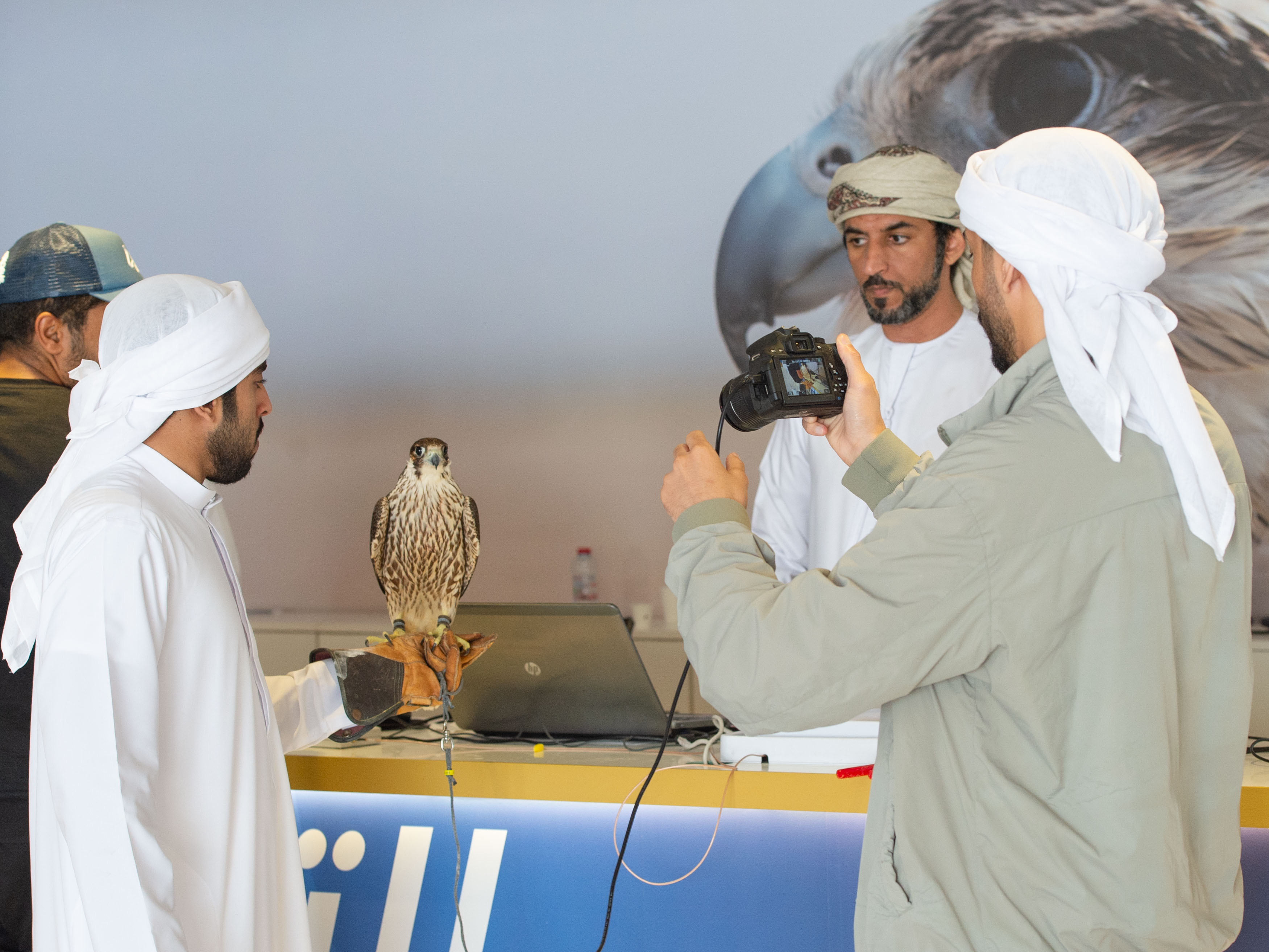 البطولة تترقب انطلاقة الشيوخ   كاس محمد بن راشد لسباقات الصقور يتوّج أبطال العامة مفتوح