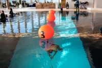 تضم 3 فئات من بينها الناشئين مشاركة عالمية في بطولة فزاع للغوص الحر الحياري في أعمق حوض سباحة في العالم