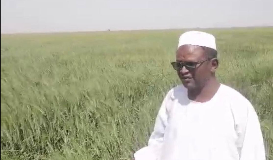 معالي البروفيسور الدخيري يؤكد على دور مشروع الجزيرة كبذرة أمل للأمن الغذائي في السودان رغم تحديات الحرب