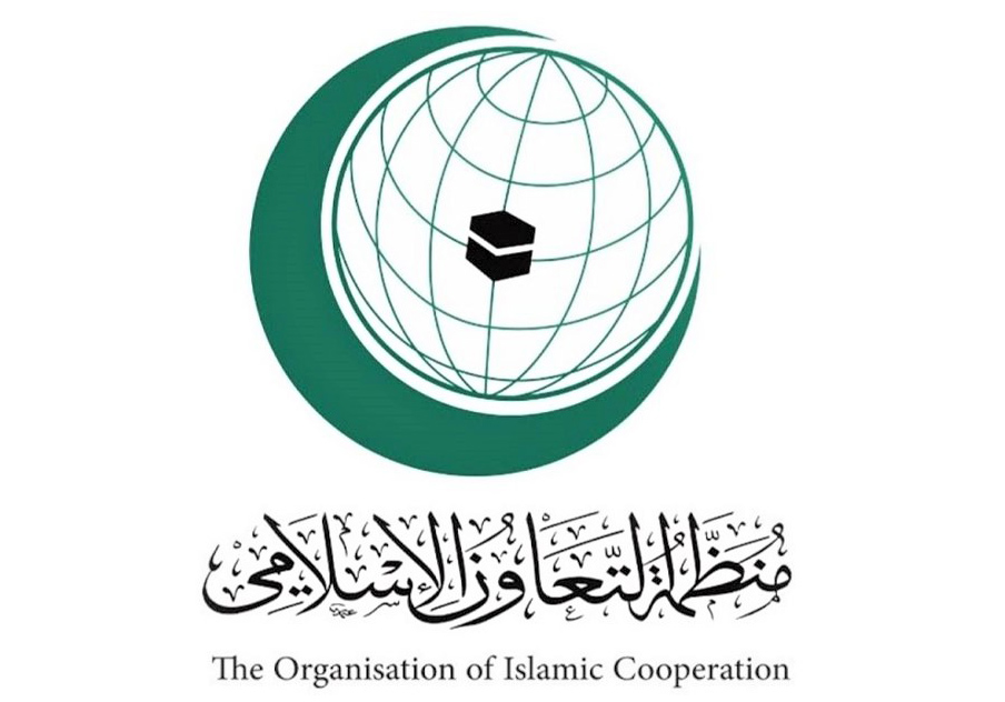 التعاون الإسلامي تأسف لفشل مجلس الأمن في قبول عضوية فلسطين الكاملة بالأمم المتحدة