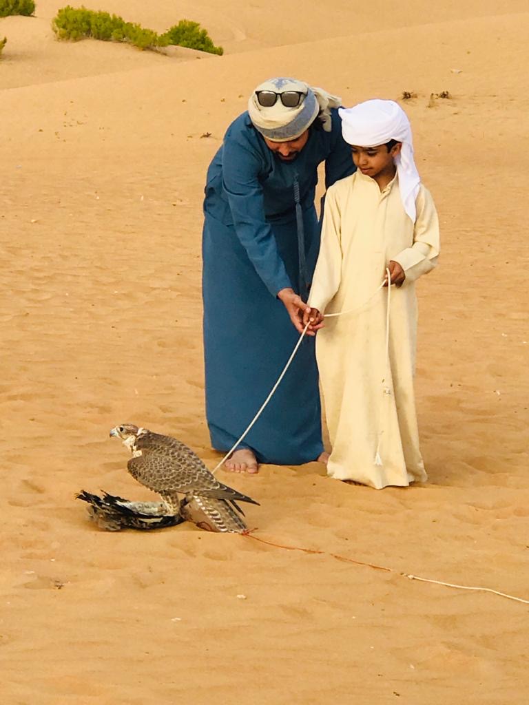 نادي صقّاري الإمارات يُعزز جهود استدامة الصيد بالصقور  