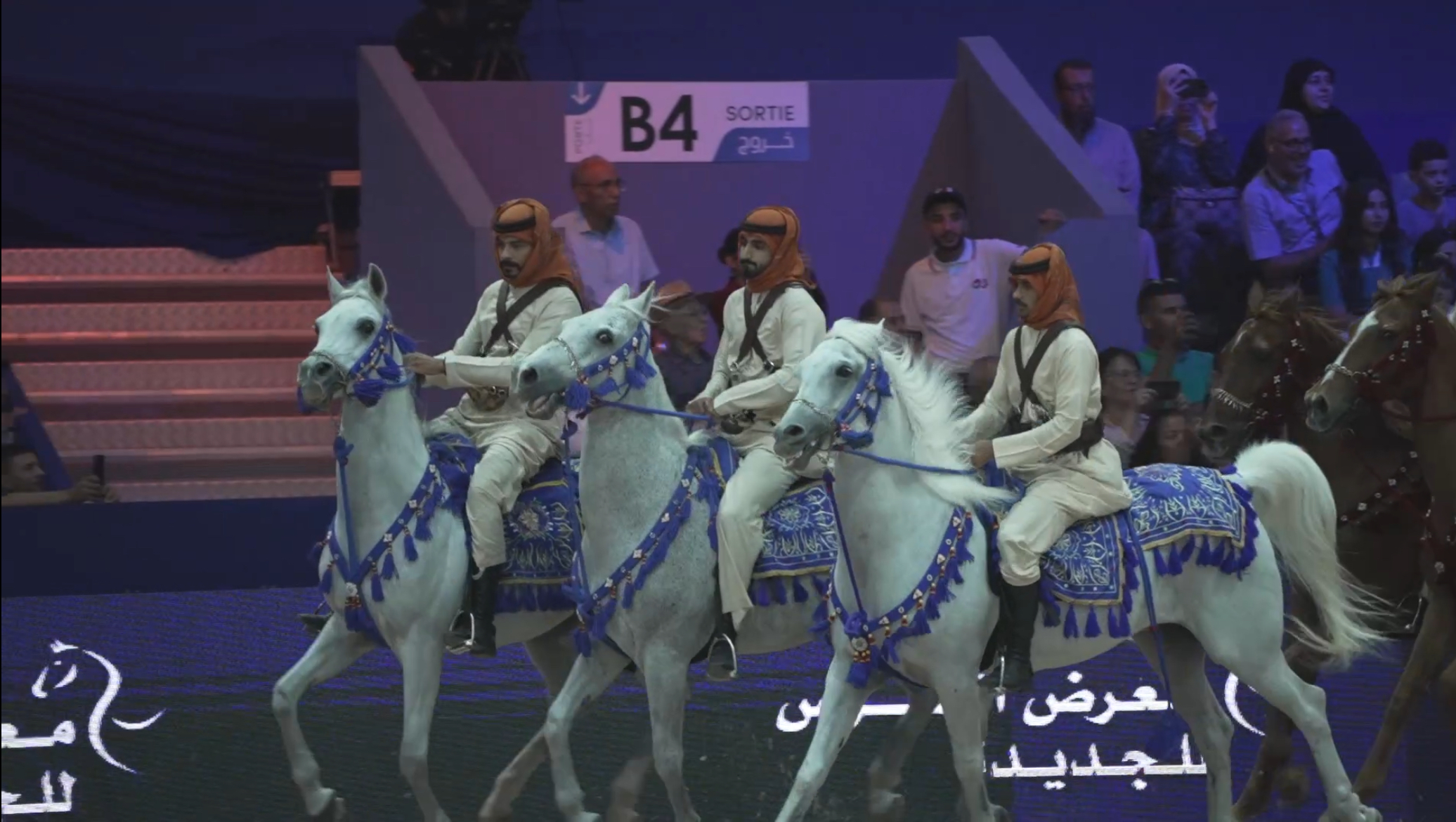 مدير عام جمعية الإمارات للخيول: معرض الفرس بالمغرب سجل نجاحاً جديداً في الفروسية  العالمية