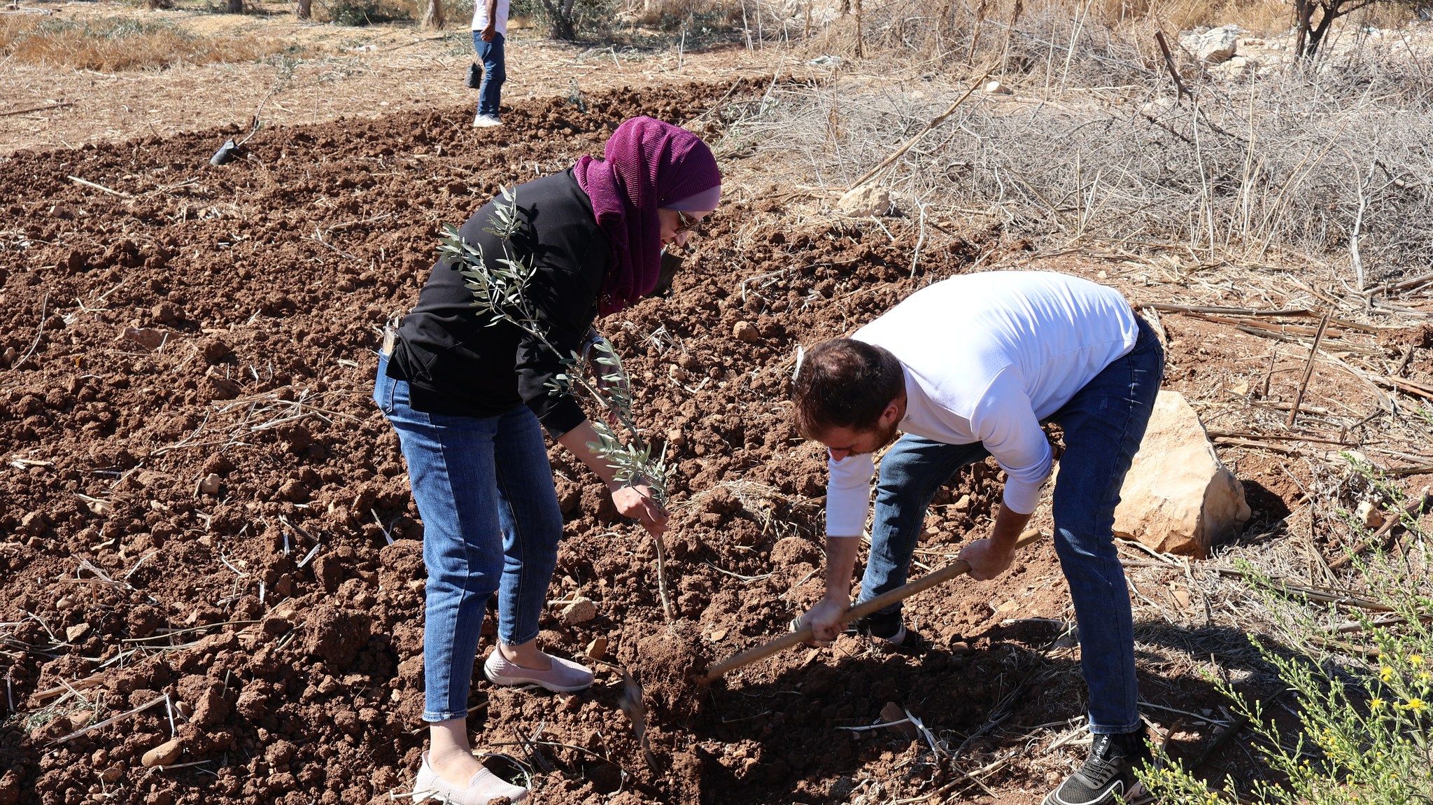 سلطة جودة البيئة: تقديم مستلزمات بيئية وزراعية دعما للمناطق المهددة بالمصادرة