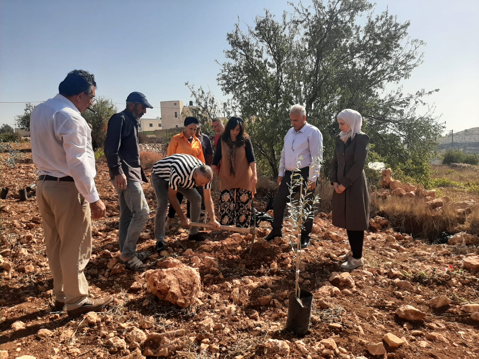 سلطة جودة البيئة: تقديم مستلزمات بيئية وزراعية دعما للمناطق المهددة بالمصادرة