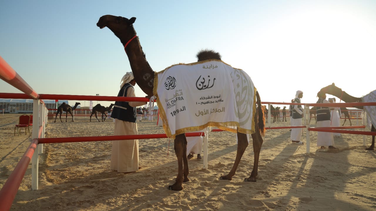 تتويج سن اللقايا التلاد والشركاء في مزاينة رزين