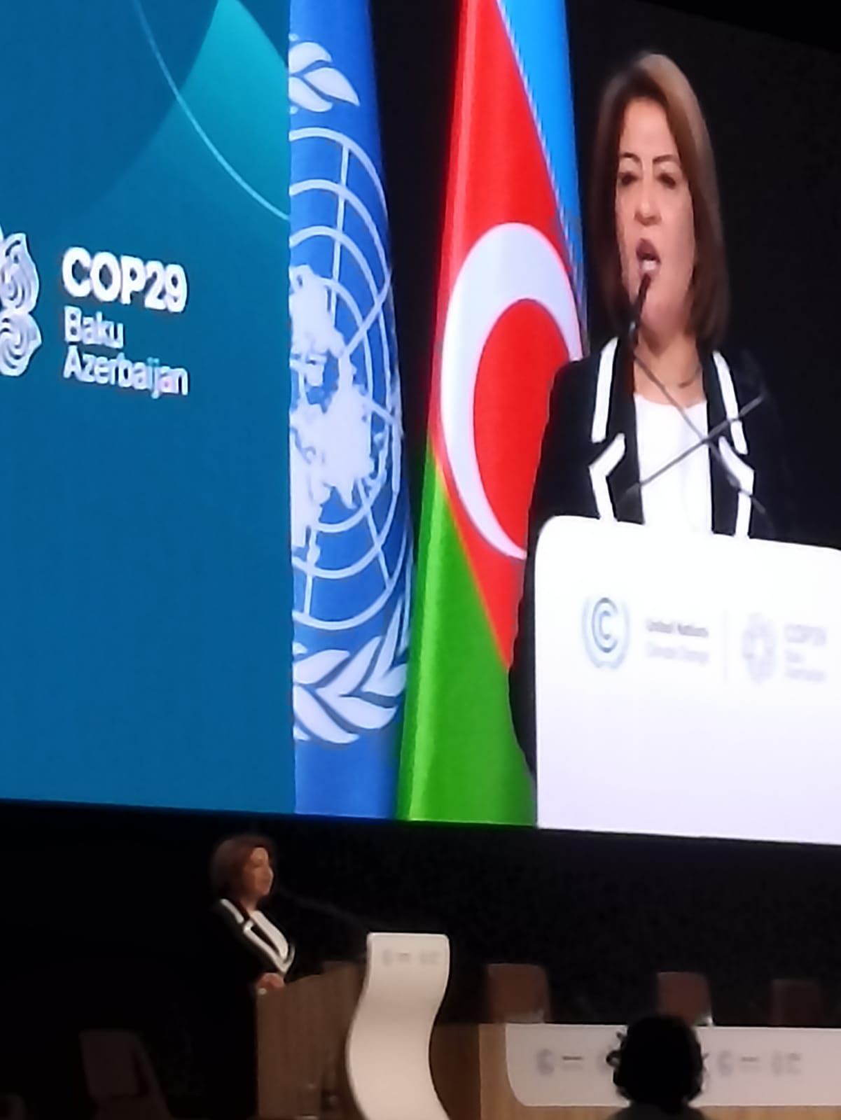 خلال كلمة دولة فلسطين في مؤتمر المناخ COP 29 في باكو  التميمي تطالب دول ومنظمات العالم المجتمعين بالضغط على الاحتلال لوقف حرب الإبادة على قطاع غزة   