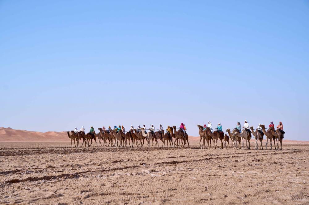 النسخة الـ11 من رحلة الهجن في طريق عودتها إلى دبي