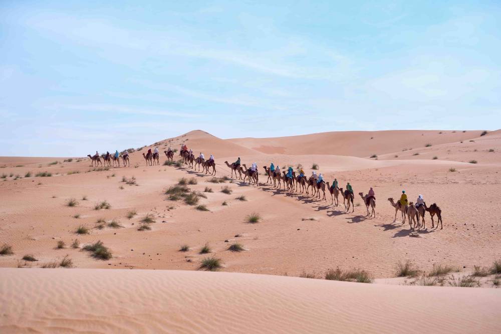 النسخة الـ11 من رحلة الهجن في طريق عودتها إلى دبي