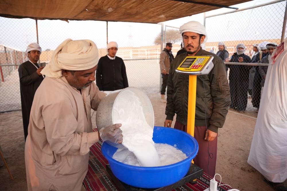 تواصل منافسات مزاينة الإبل ومسابقة المحالب في مهرجان محمد بن زايد لسباقات الهجن  