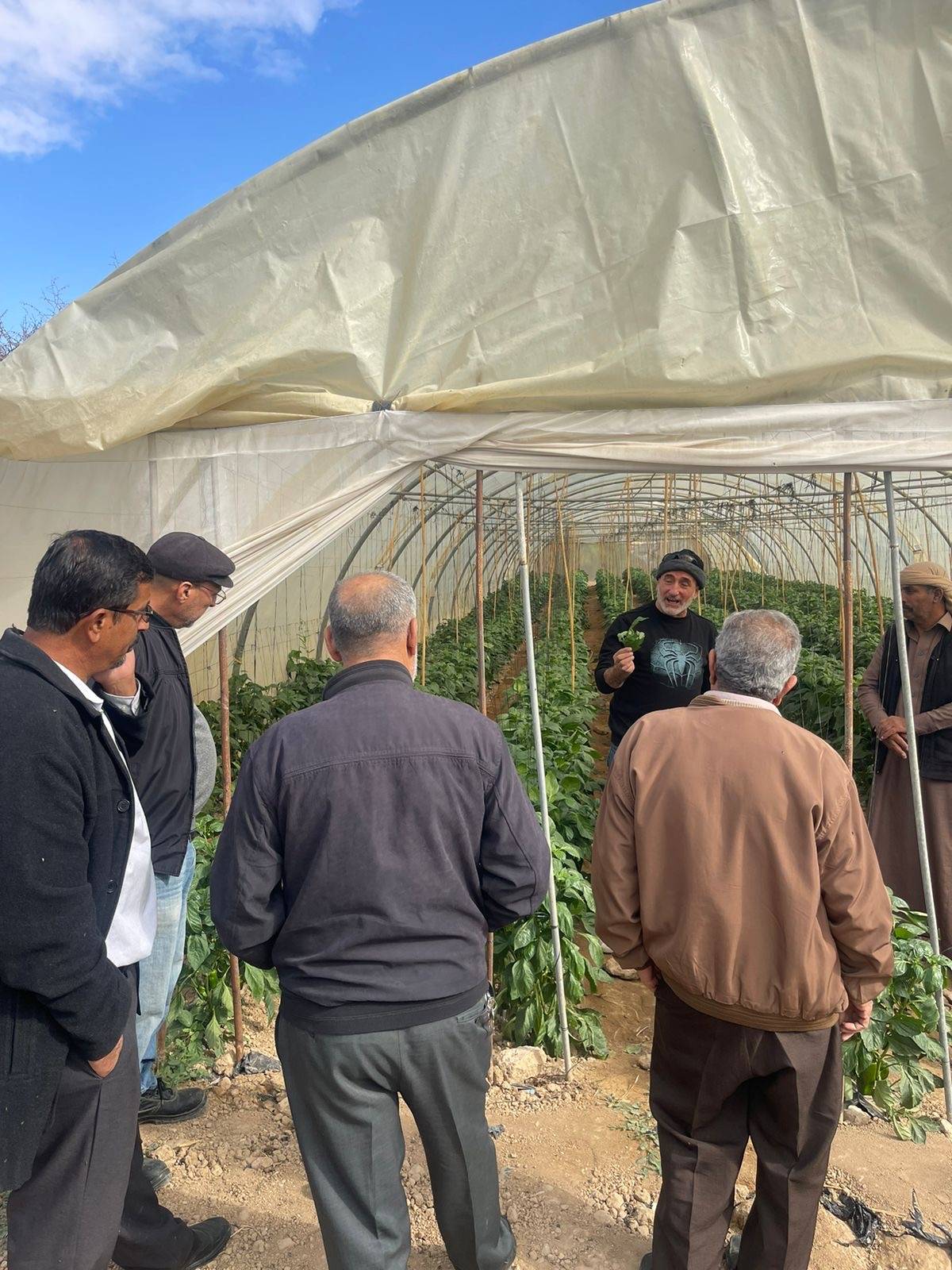 البحوث الزراعية ينفذ دورة تدريبية لتمكين صغار المزارعيين حول الممارسات الفضلى في إنتاج الفلفل الحلو