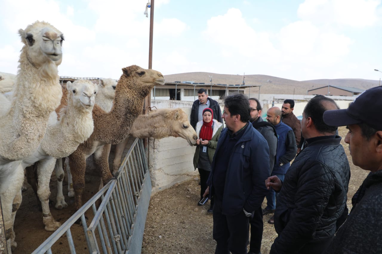 مدير عام المركز الوطني للبحوث الزراعية: محطة الخناصري رائدة في تعزيز بحوث الثروة الحيوانية والمراعي 