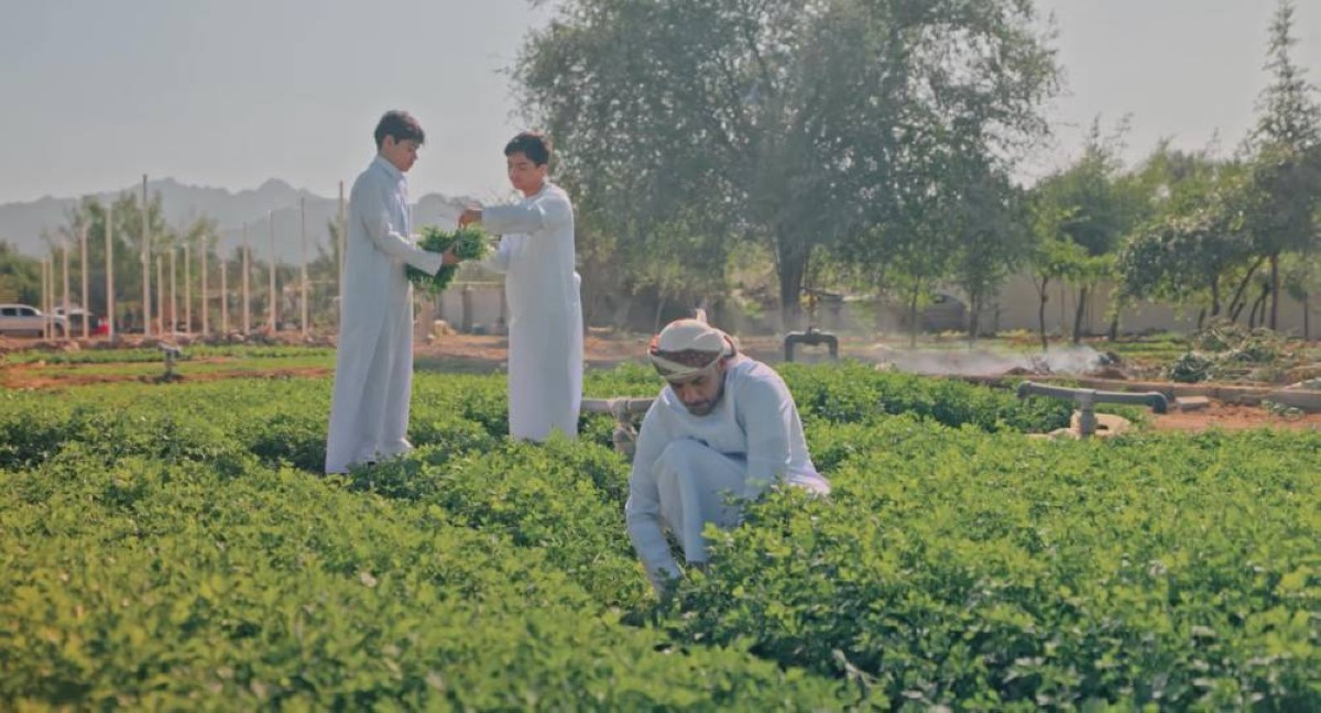 بلدية دبي تطلق  فعاليات النسخة الثانية من مهرجان حتّا الزراعي