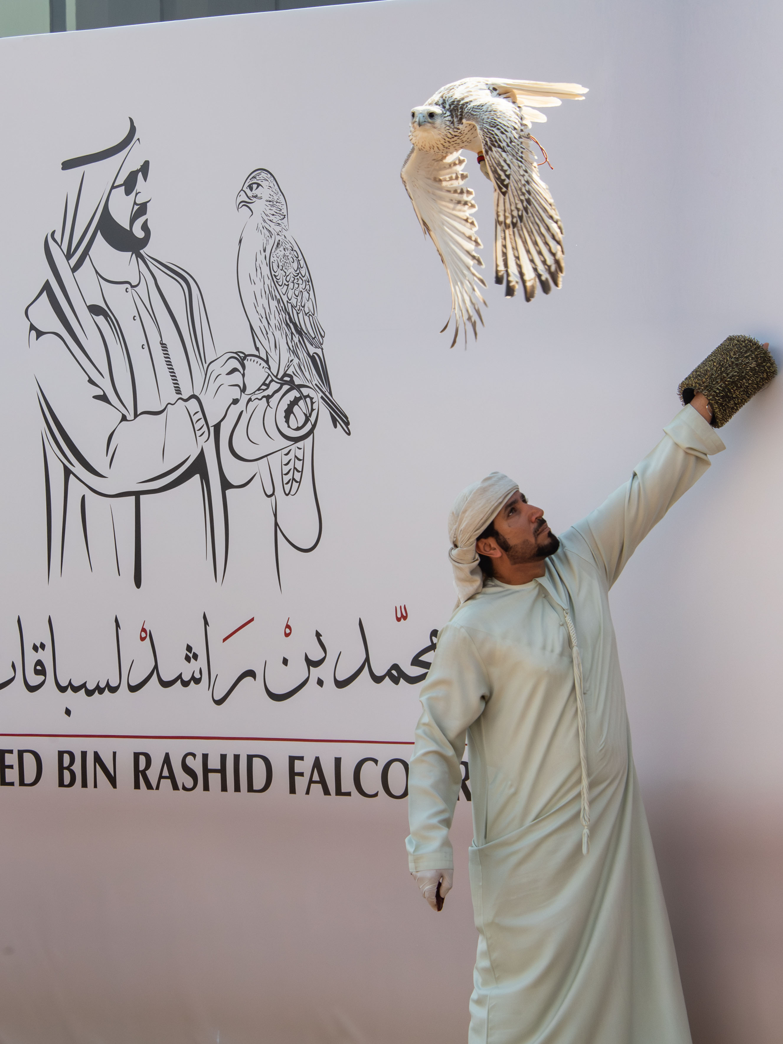 مركز حمدان بن محمد لإحياء التراث يعلن عن انطلاقته  كاس محمد بن راشد لسباقات الصقور   