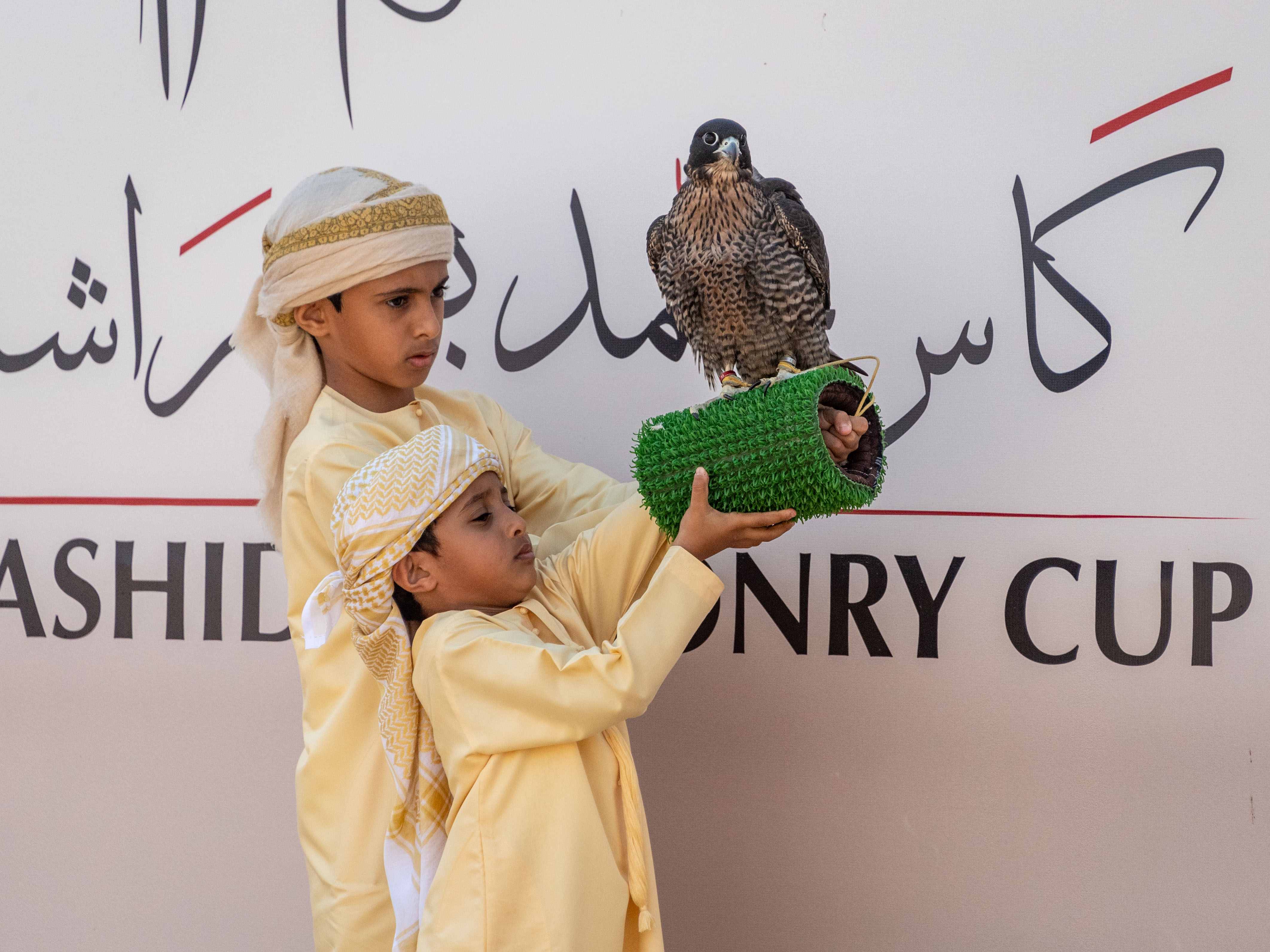 الناشئين مسك ختام بطولة  كاس محمد بن راشد لسباقات الصقور