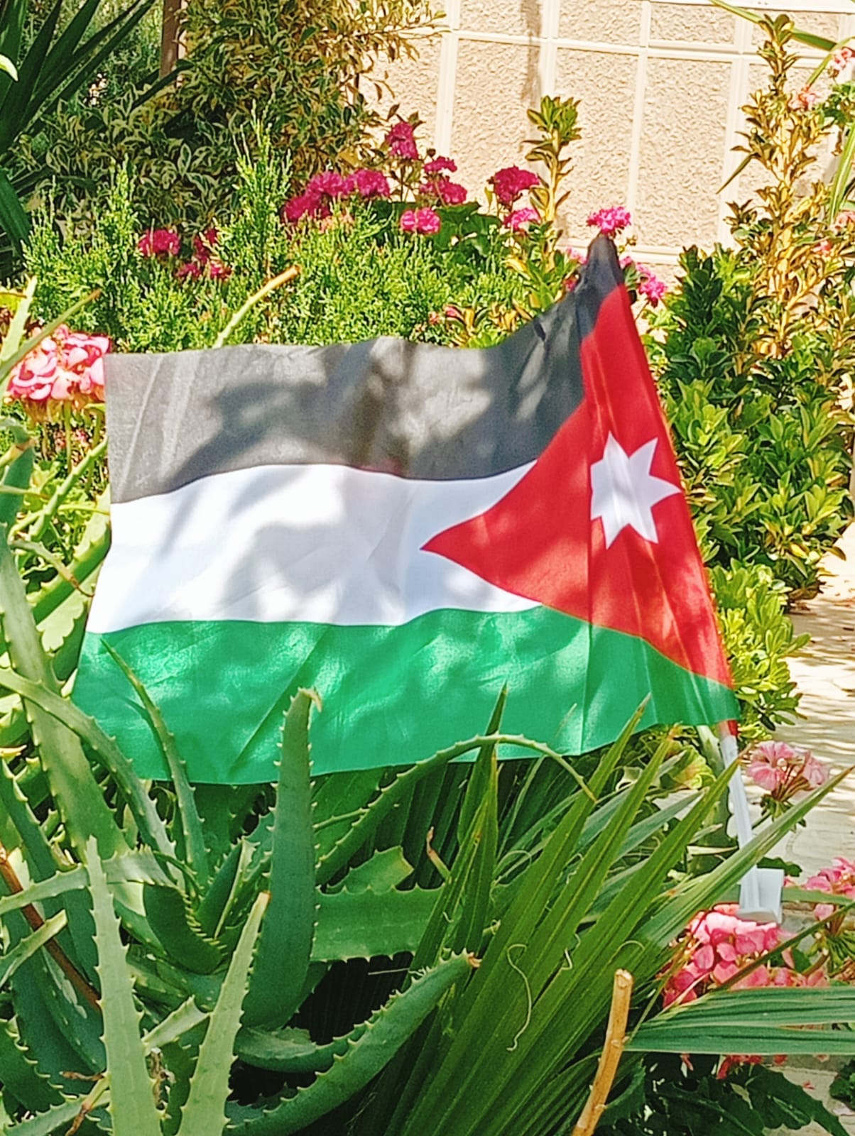 منتدى حلاوة وجمعية وادي زقيق يحتفلان بيوم العلم