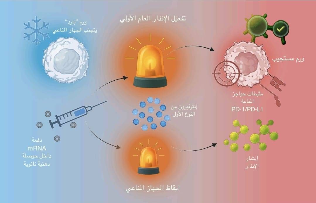 بقيادة الاردني د.سديم قديسات قفزة علمية لتحويل الأورام المستعصية إلى أهداف مكشوفة