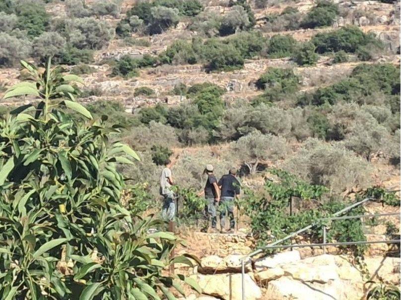 سلطة جودة البيئة: 155 انتهاكا بيئيا إسرائيليا خلال الربع الثاني من 2025  