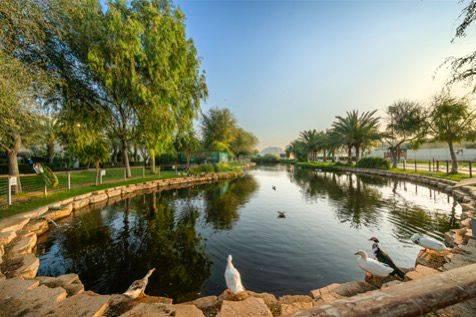 دبي تستقبل 9.88 مليون زائر دولي في النصف الأول من عام 2025، بزيادة 6% على أساس سنوي