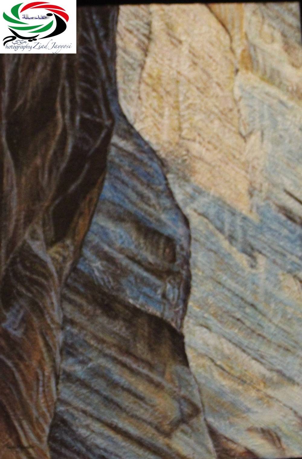 حين استمعت إلى همهمات الصخور  بقلم: زياد جيوسي