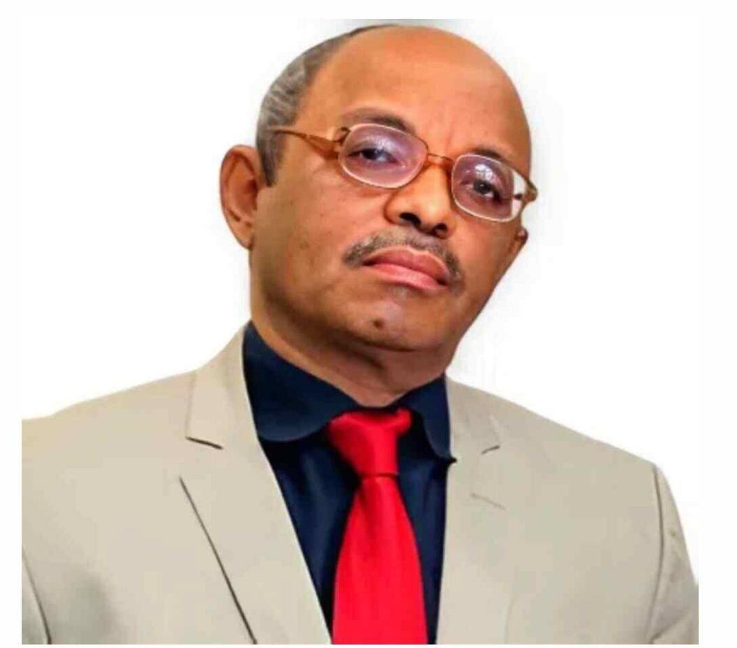 نصف الدماغ الأيسر: استكشاف الفكر والإنسان والوجود في رؤية الدكتورة ميسون عيسى تليلان السليم  قراءة نقدية للبروفيسور عبد المنعم همّت