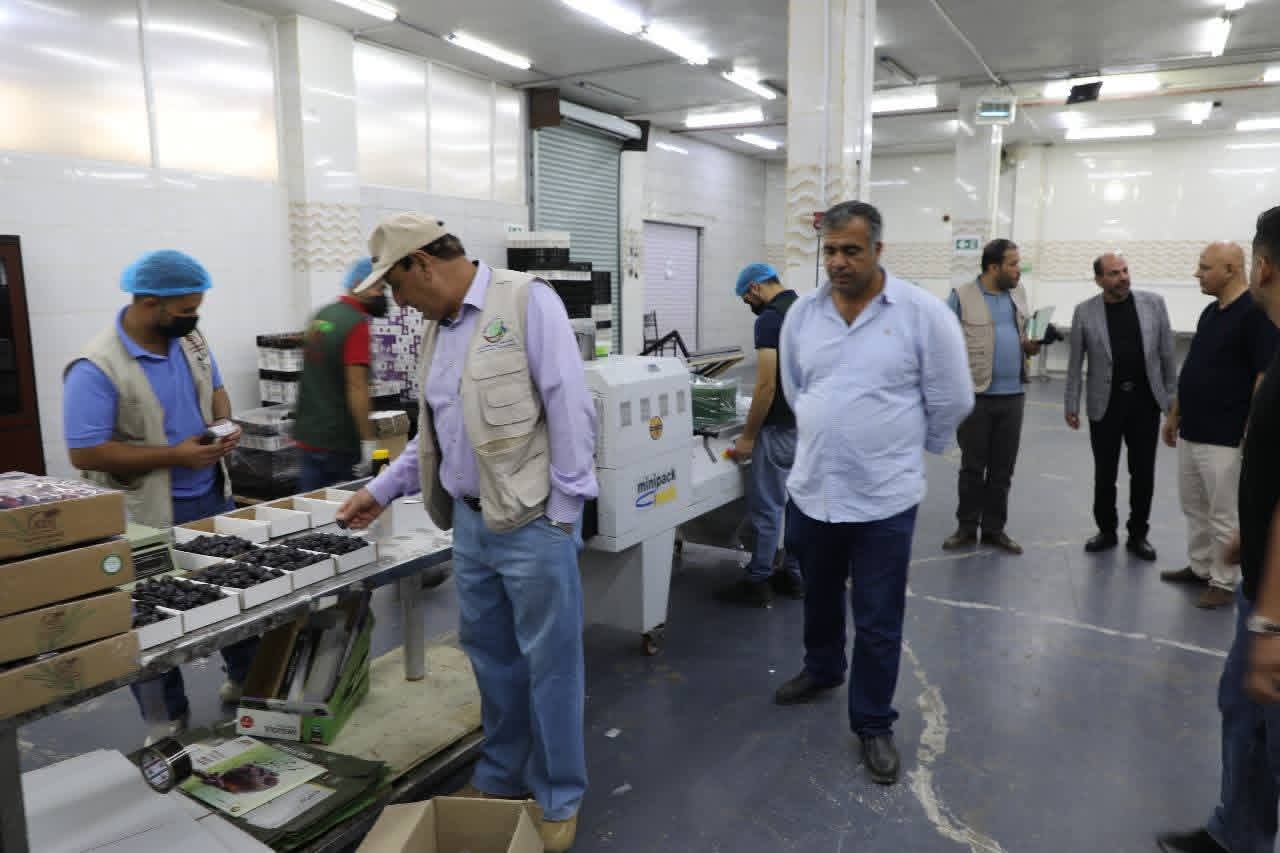 الرواشدة يطلع على تجربة القطاع الخاص في إنتاج وتعبئة وتغليف التمور