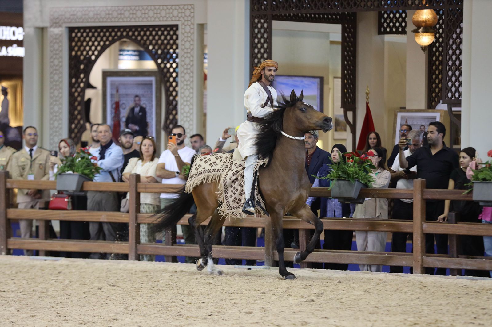 بمشاركة الإمارات.. انطلاق فعاليات معرض الفرس للجديدة بالمغرب