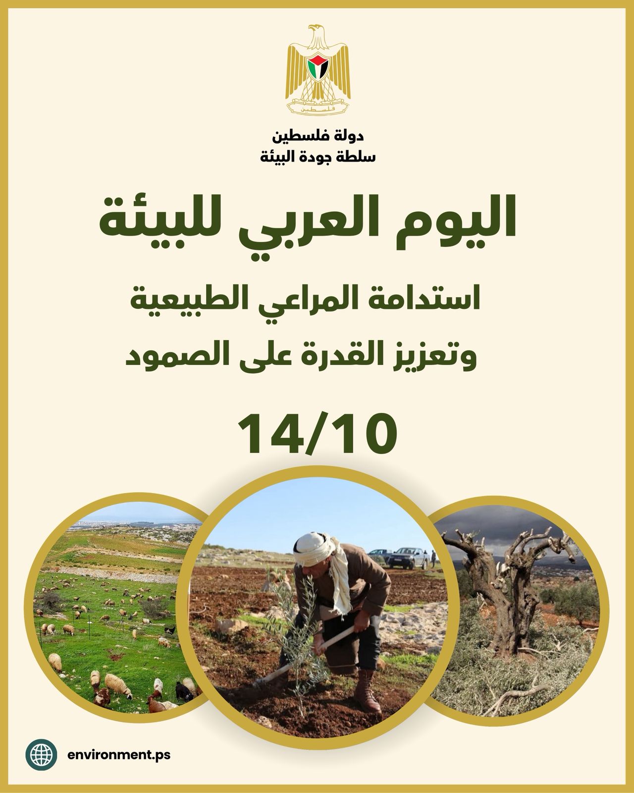 بيان صحفي صادر عن سلطة جودة البيئة بمناسبة اليوم العربي للبيئة 2025:  استدامة المراعي الطبيعية وتعزيز القدرة على الصمود