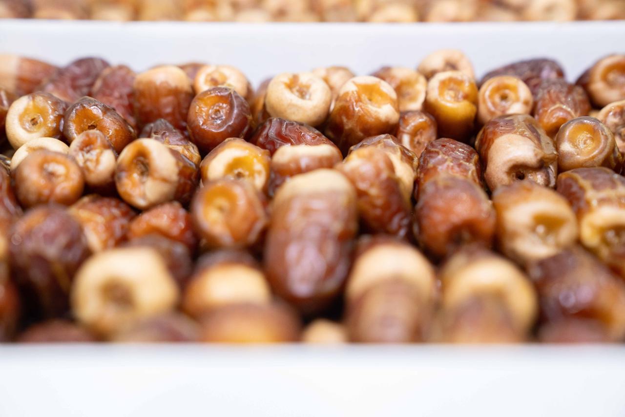 6.9 طن من التمور الفاخرة مع انطلاق فعاليات مهرجان الظفرة للتمور