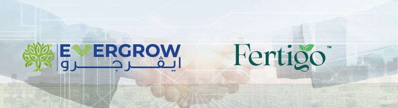 «ايڤرجرو» تبرم اتفاقا مع «فيرتيجو» لتوريد 60 الف طن سنويا من سلفات البوتاسيوم بداية من 2026