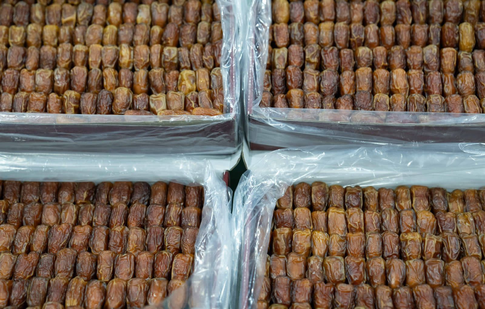 الظفرة للتمور يتوج الفائزين ويسجل مبيعات بقيمة 244 ألف درهم