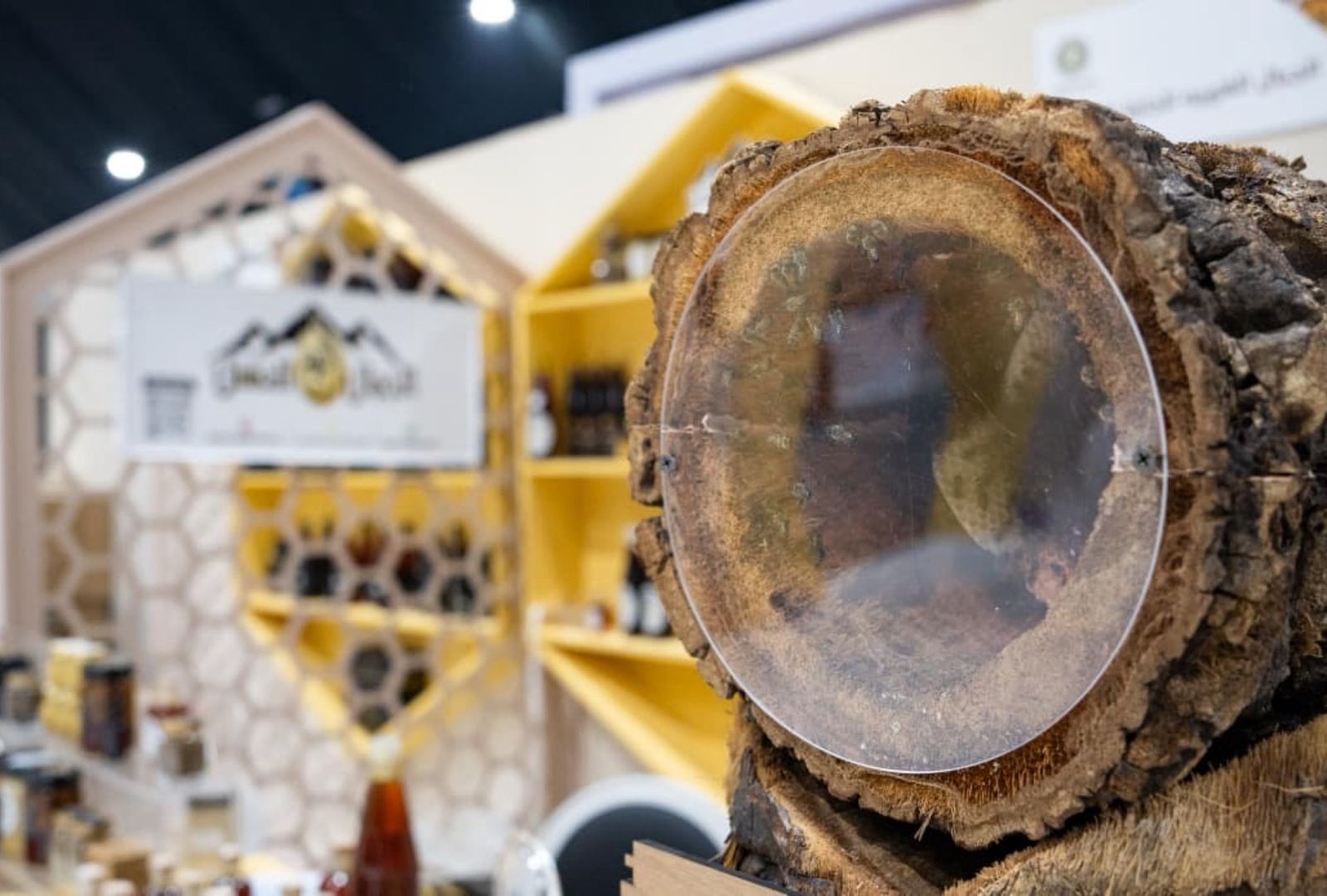 قرية العسل تفتح آفاقاً جديدة لتسويق المنتج الإماراتي في الظفرة للتمور