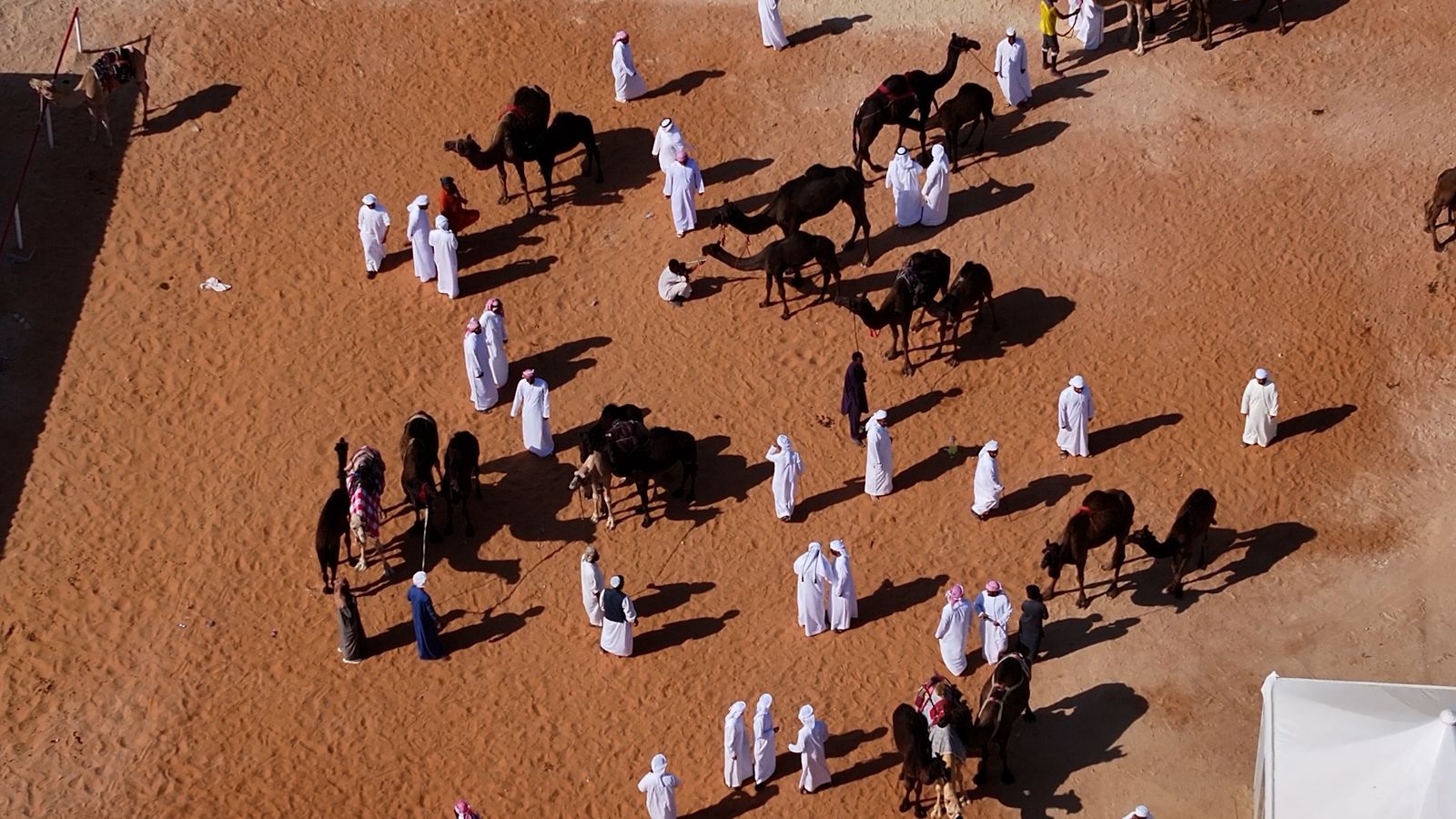 برعاية رئيس الدولة.. مهرجان الظفرة ينطلق بمحطنته الأولى من سويحان غداً