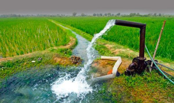 التعاونيات الزراعية: نموذج مستدام للزراعات العلفية بالمياه المستصلحة.