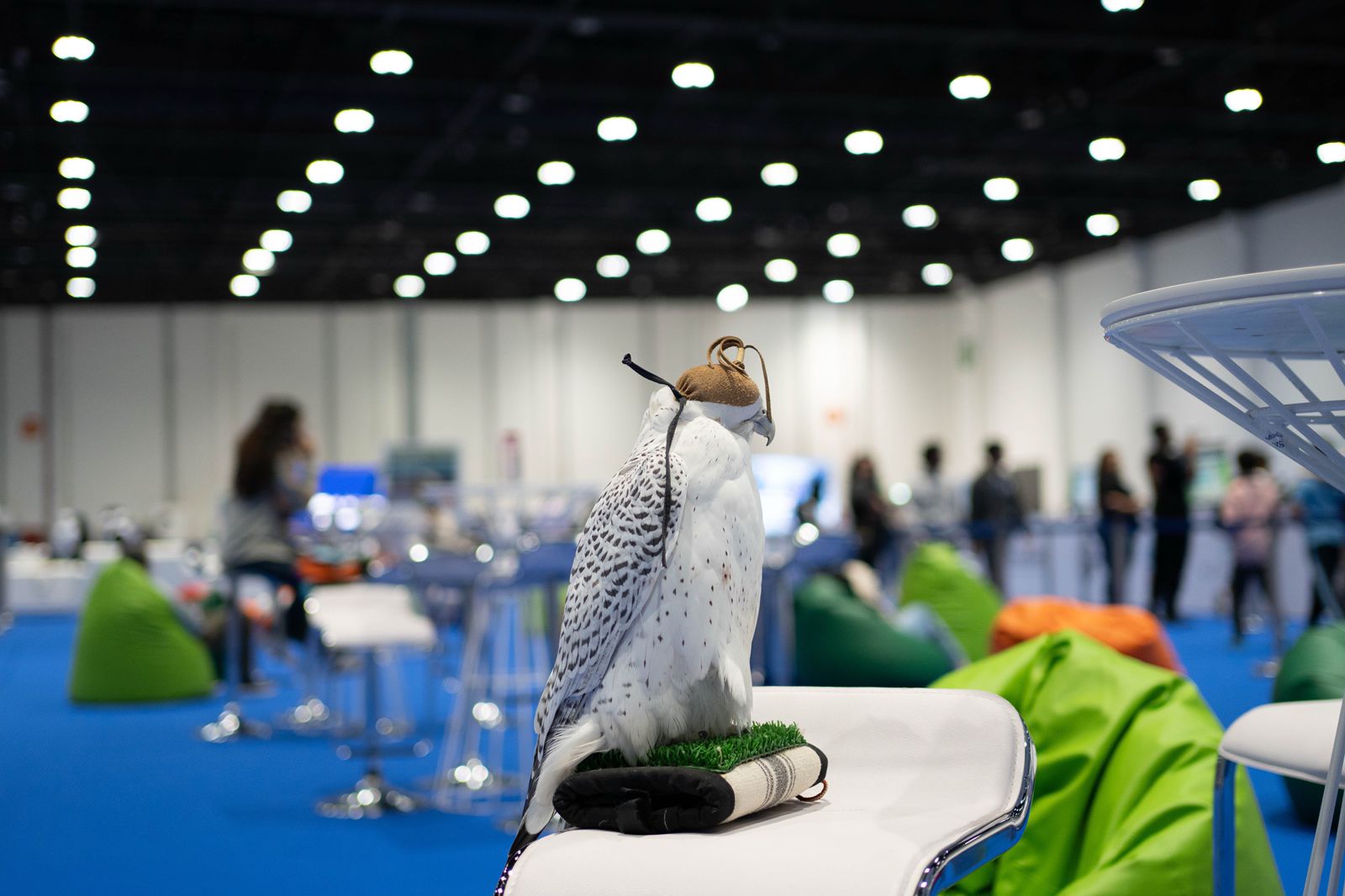 نادي صقّاري الإمارات يدعم جهود دمج التراث بالذكاء الاصطناعي في أسبوع أبوظبي للأنظمة ذاتية الحركة